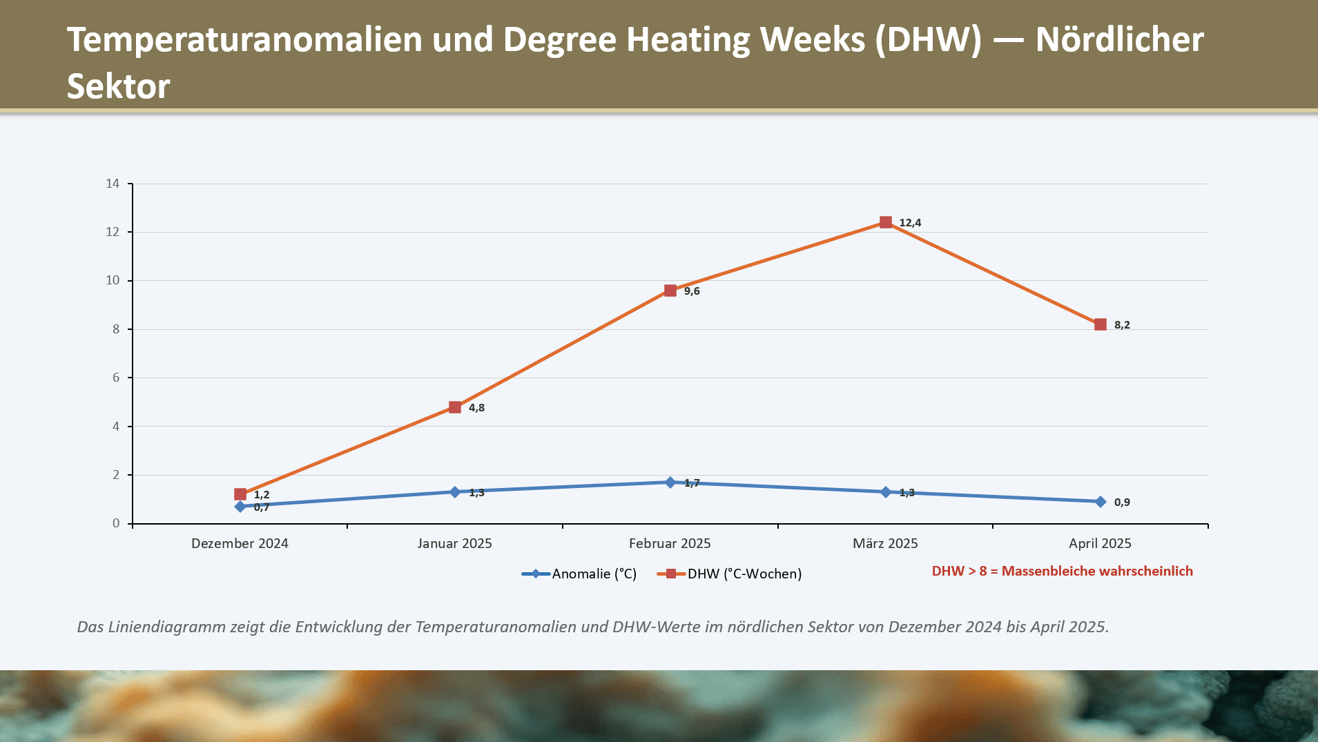 Korallenbleiche am Great Barrier Reef — Folie 3