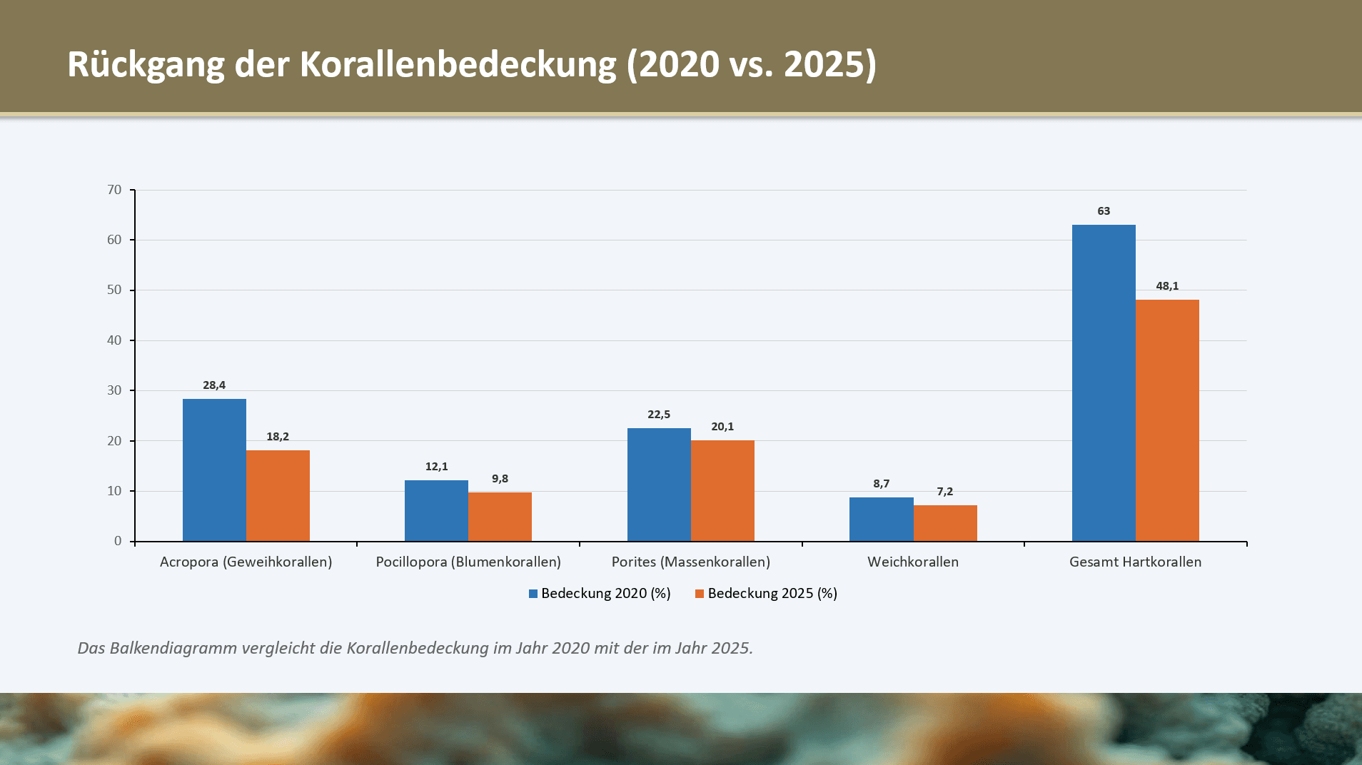 Korallenbleiche am Great Barrier Reef — Folie 4