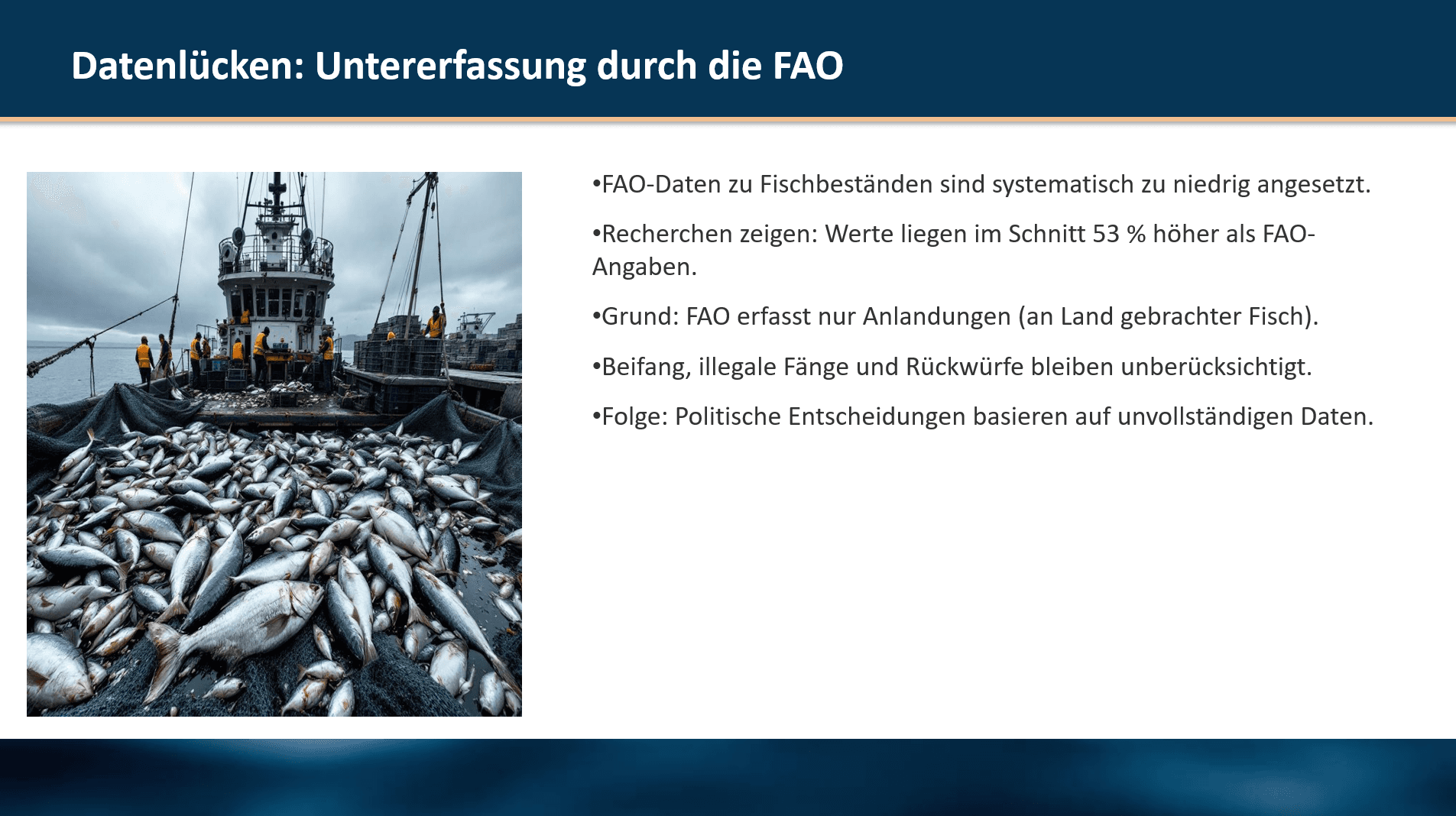 Überfischung im Atlantik — Folie 2