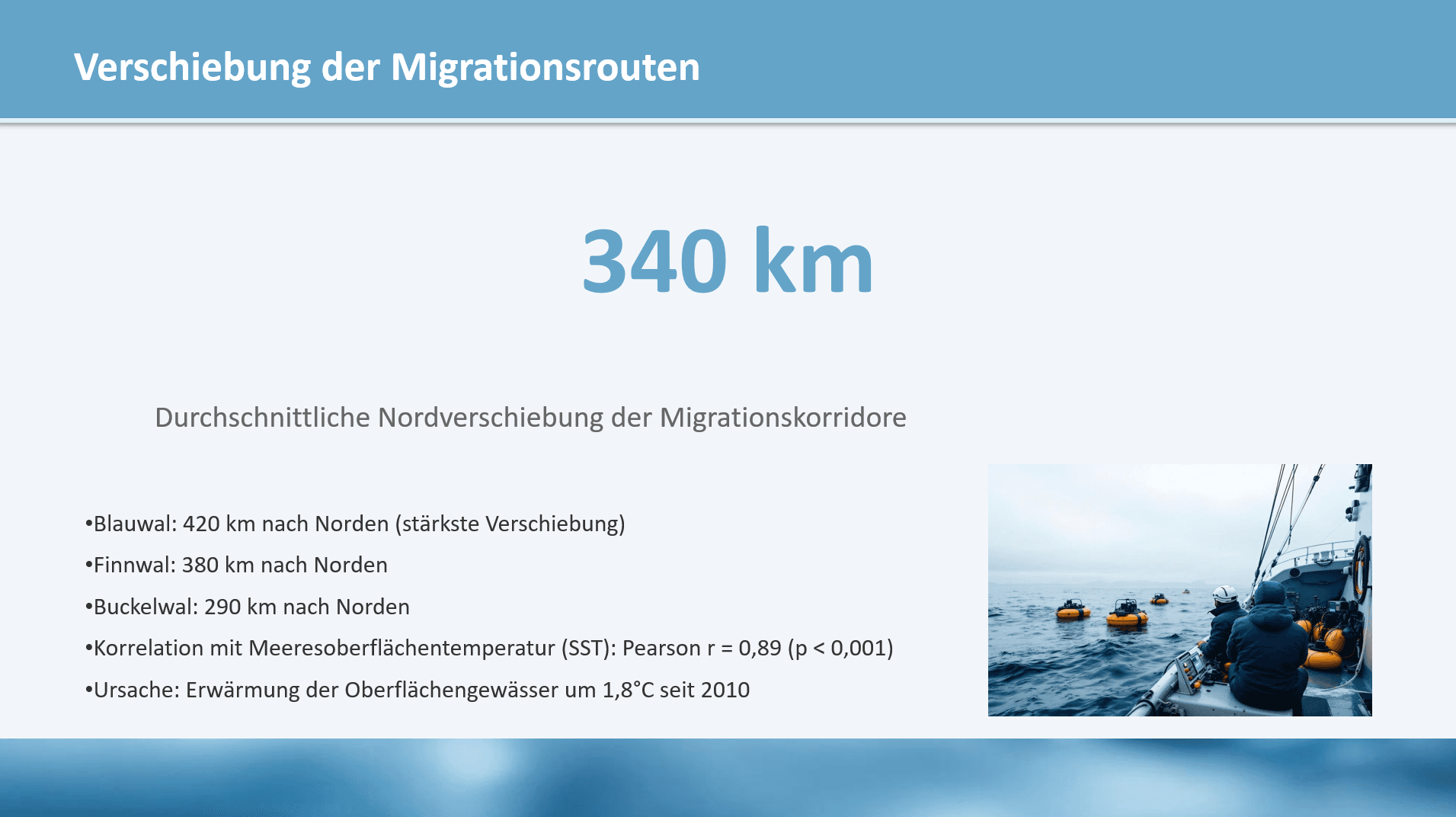 Migrationsmuster der Großwale im Nordatlantik — Folie 4